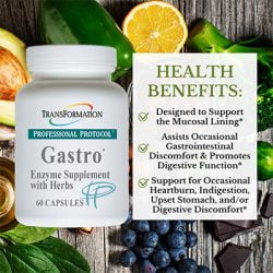Gastro* - Image 4