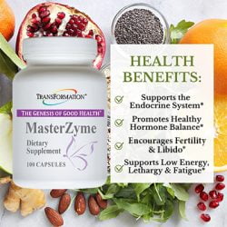 MasterZyme - Image 2