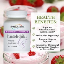 Plantadophilus - Image 2